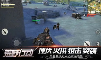 飞鹰制霸生存战攻略:揭秘全新生存技巧与策略 飞鹰制霸生存战攻略:揭秘全新生存技巧与策略