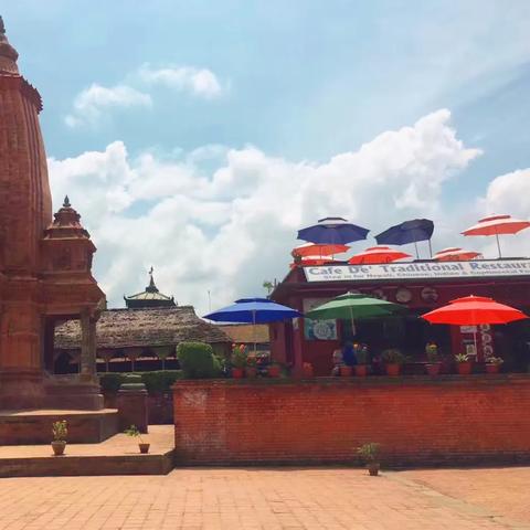 植物大战僵尸2神级植物攻略：深度揭秘回忆之旅新价值