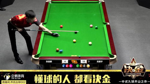 热门台球游戏排行揭秘：玩转桌球巅峰之作