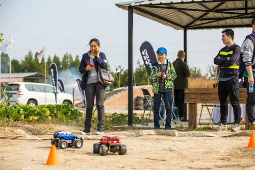 2024越野游戏巅峰排行,揭秘热门新体验 2024越野游戏巅峰排行,揭秘热门新体验