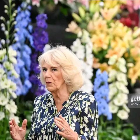 热门情境游戏精选:人气排行深度解析 热门情境游戏精选:人气排行深度解析