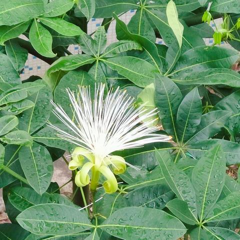十大必玩放松游戏推荐：解锁心灵愉悦之旅