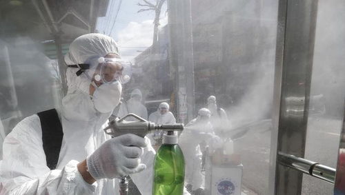 精选疫病爆发模拟,体验沉浸式防疫新挑战 精选疫病爆发模拟,体验沉浸式防疫新挑战