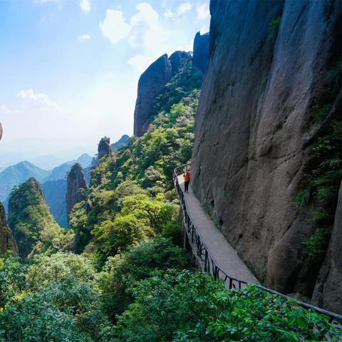 自然游戏盘点:热门自然题材佳作推荐,探索生态魅力 自然游戏盘点:热门自然题材佳作推荐,探索生态魅力