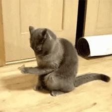 历史喵联动礼包深度解析:爆炒江湖新价值揭秘 历史喵联动礼包深度解析:爆炒江湖新价值揭秘