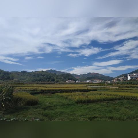 十大经典耐玩生存恐怖游戏盘点,揭秘沉浸式惊悚体验新境界 十大经典耐玩生存恐怖游戏盘点,揭秘沉浸式惊悚体验新境界