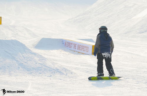 2024年必玩单板滑雪游戏盘点,体验极限运动新风尚 2024年必玩单板滑雪游戏盘点,体验极限运动新风尚