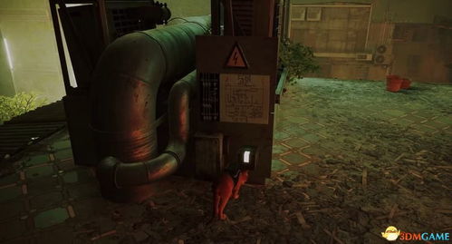 战争日记流浪生存攻略:揭秘全新开局秘籍 战争日记流浪生存攻略:揭秘全新开局秘籍