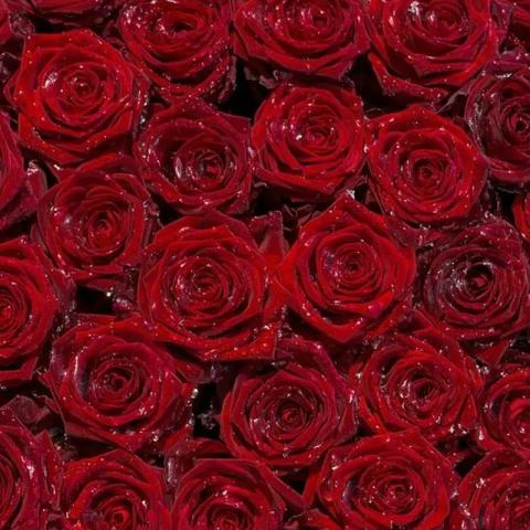 十大精选黑客游戏,揭秘趣味无限新体验 十大精选黑客游戏,揭秘趣味无限新体验