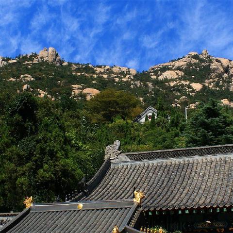 深度解析:悠久之树1.01版角色新亮点揭秘 深度解析:悠久之树1.01版角色新亮点揭秘