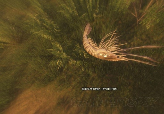 《古剑奇谭3》钓鱼秘籍：钓鱼圣地与鱼饵攻略大全