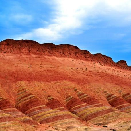 《揭秘!洁白赛鸟坐骑轻松获取攻略,独家技巧大公开》 《揭秘!洁白赛鸟坐骑轻松获取攻略,独家技巧大公开》