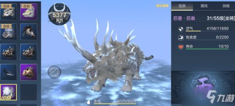 猛宠养成必看攻略：妄想山海深度解析