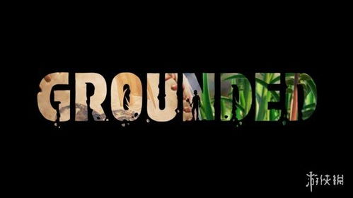 《Grounded》黑曜石新作Steam首发,明年独占大作抢先看 《Grounded》黑曜石新作Steam首发,明年独占大作抢先看