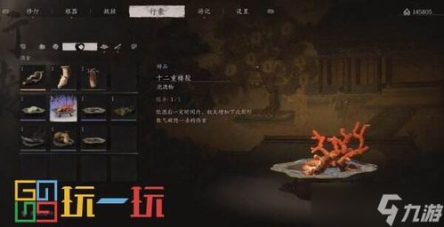 《黑神话悟空》全金丹攻略：揭秘金丹获取秘境