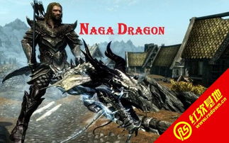 《上古卷轴5》速度狂飙！独家MOD让你的坐骑飞驰如风