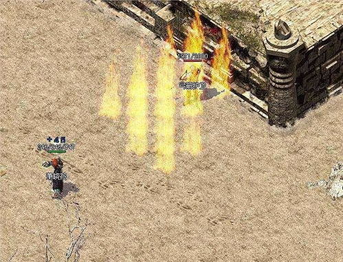 动物森林新手快速开荒攻略:高效升级秘籍大公开 动物森林新手快速开荒攻略:高效升级秘籍大公开