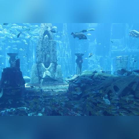 外星人游戏精选:人气爆棚的宇宙探险排行推荐 外星人游戏精选:人气爆棚的宇宙探险排行推荐