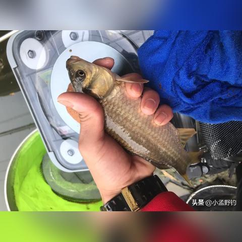 钓鱼新手速成:漂动技巧全解析,轻松入门! 钓鱼新手速成:漂动技巧全解析,轻松入门!