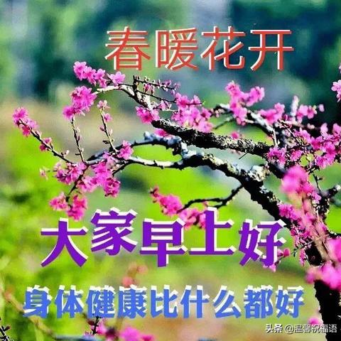 点击即享精选,畅玩热门指向游戏新体验 点击即享精选,畅玩热门指向游戏新体验