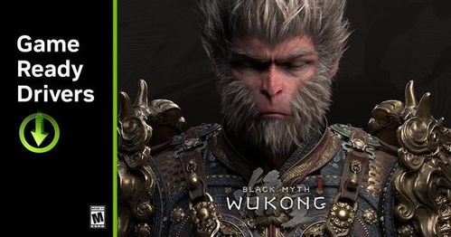 《黑神话:悟空》升级！英伟达显卡驱动新增DLSS支持
