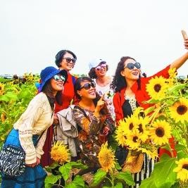 热门农业游戏盘点:揭秘十大人气巅峰之作 热门农业游戏盘点:揭秘十大人气巅峰之作