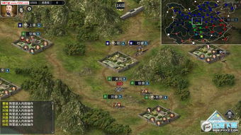 荣耀新三国：汉董逆袭攻略，解锁全新策略价值