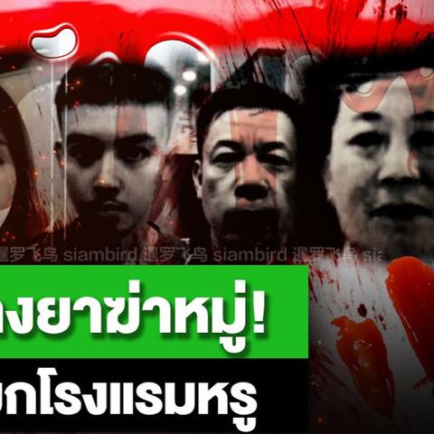 2024年度热门密室逃脱盘点:揭秘创新玩法新趋势 2024年度热门密室逃脱盘点:揭秘创新玩法新趋势