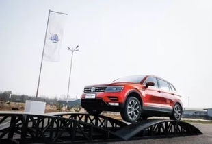 2024赛车盛宴：精选大全，畅享速度新体验