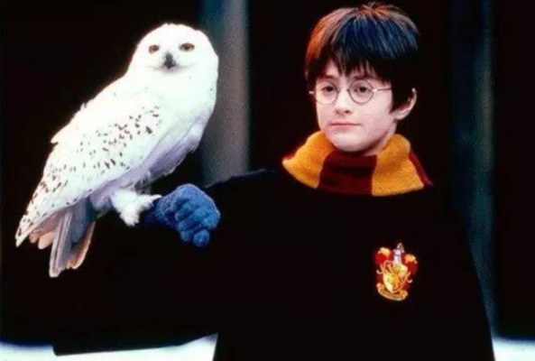 《霍格沃茨遗珍:盘点那些可繁育的魔法宠物》 《霍格沃茨遗珍:盘点那些可繁育的魔法宠物》