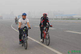 最新骑行游戏盘点：揭秘热门排行榜，畅享骑行乐趣新体验
