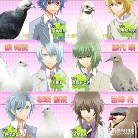 乙女游戏精选推荐:探寻热门好玩的恋爱冒险之旅 乙女游戏精选推荐:探寻热门好玩的恋爱冒险之旅