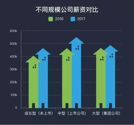 叶月雪单体爆发解析:揭秘全新价值技能解析 叶月雪单体爆发解析:揭秘全新价值技能解析