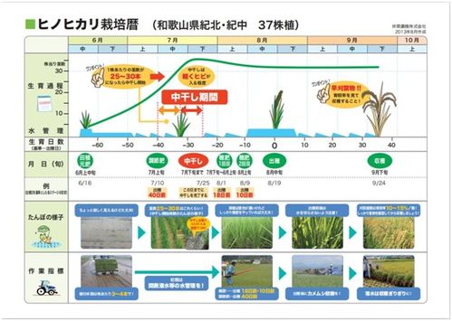 盘点十大热门种田游戏,解锁农业致富新秘籍 盘点十大热门种田游戏,解锁农业致富新秘籍