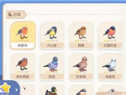 《心动小镇》奥杜安海鸥:探寻神秘海鸥的藏身之地 《心动小镇》奥杜安海鸥:探寻神秘海鸥的藏身之地