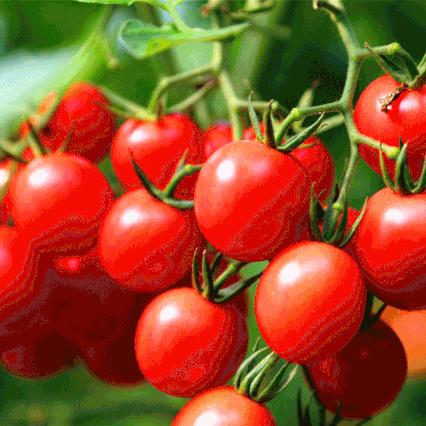 最新科普游戏盘点:探索科技乐趣新境界 最新科普游戏盘点:探索科技乐趣新境界