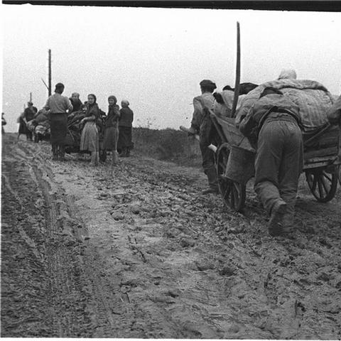 盘点十大经典战争游戏,领略历史烽火新视角 盘点十大经典战争游戏,领略历史烽火新视角