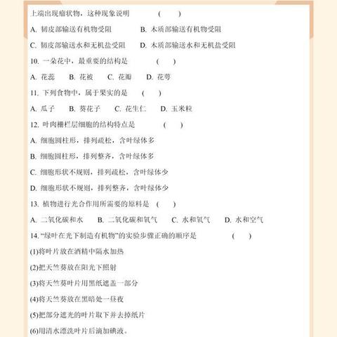 政治模拟游戏盘点:揭秘最佳体验排行,探寻趣味新境界 政治模拟游戏盘点:揭秘最佳体验排行,探寻趣味新境界