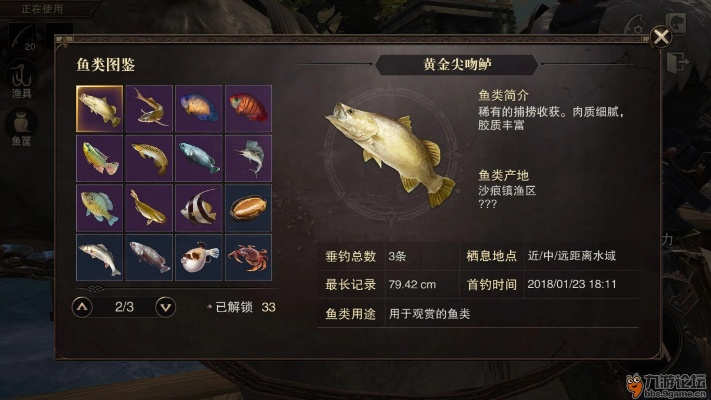 《钓鱼图鉴揭秘:鱼获变身武器新攻略》 《钓鱼图鉴揭秘:鱼获变身武器新攻略》