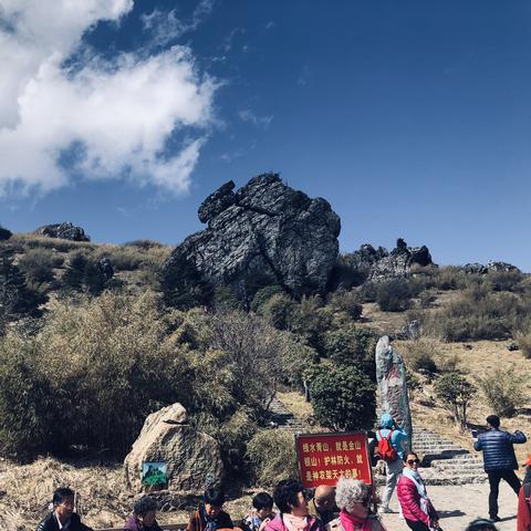 热门迷宫游戏盘点:探索最热迷宫排行新奥秘 热门迷宫游戏盘点:探索最热迷宫排行新奥秘