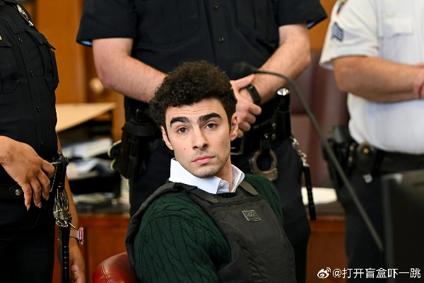 枪杀美国保险公司CEO嫌疑人Luigi Mangione最爱绝地求生,其Steam游戏世界大揭秘