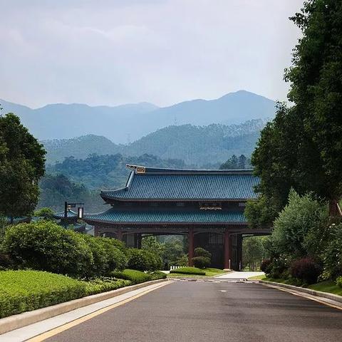 十大人气巅峰:揭秘经典开放世界游戏新传奇 十大人气巅峰:揭秘经典开放世界游戏新传奇