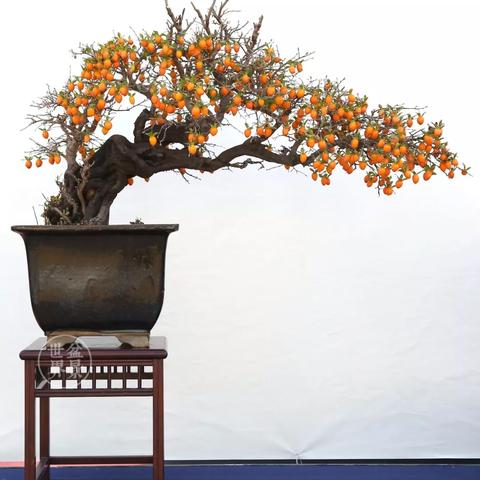 史诗级游戏盘点:精选佳作,畅玩新体验 史诗级游戏盘点:精选佳作,畅玩新体验