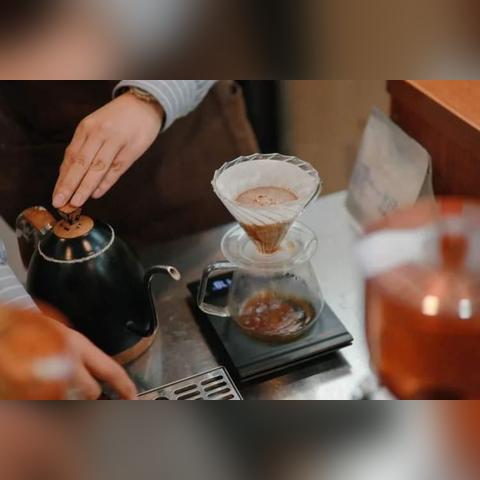 《解忧咖啡馆2》白金攻略:芙蓉蝴蝶全流程揭秘 《解忧咖啡馆2》白金攻略:芙蓉蝴蝶全流程揭秘