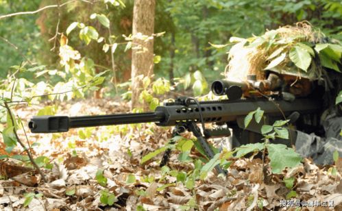 《侠盗猎车5》AWM狙击手速递:轻装驰骋,一击必中 《侠盗猎车5》AWM狙击手速递:轻装驰骋,一击必中