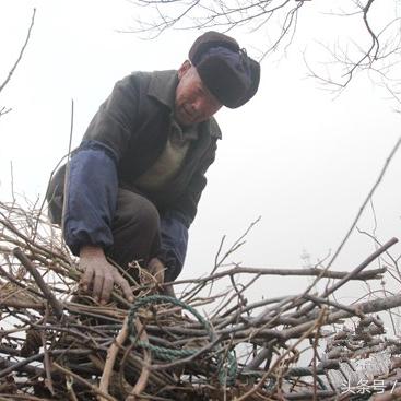 《上古卷轴5》：2012年游戏巅峰，翻越难度排行榜NO.1