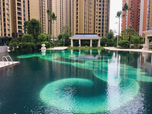 《蔚蓝》彩蛋深度揭秘:隐藏位置大曝光! 《蔚蓝》彩蛋深度揭秘:隐藏位置大曝光!