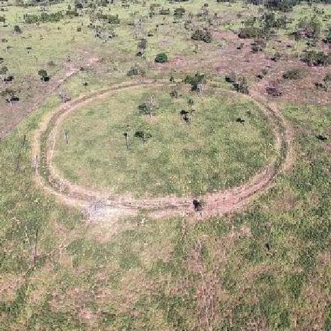 动物森林高效开荒秘籍:抓怪升级新攻略速成法 动物森林高效开荒秘籍:抓怪升级新攻略速成法