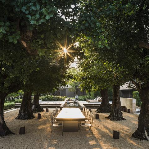 热门餐厅游戏盘点:揭秘高人气餐厅游戏排行新风向 热门餐厅游戏盘点:揭秘高人气餐厅游戏排行新风向