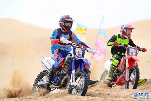 十大耐玩摩托越野游戏盘点:揭秘最佳体验新标杆 十大耐玩摩托越野游戏盘点:揭秘最佳体验新标杆